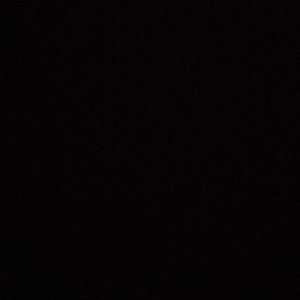 Meet your Posher, Ruth